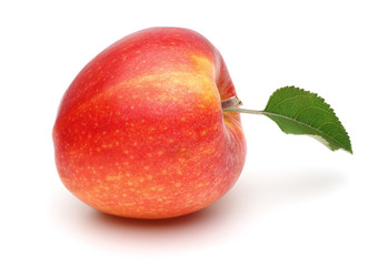 Gala Apple