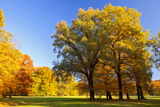 Herbstlandschaft