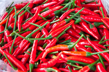 Red chili
