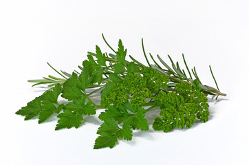 Petersilie &  Rosmarin