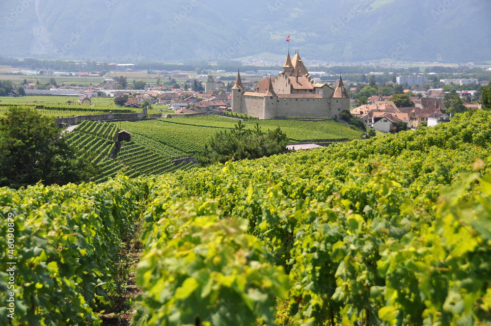 Wall mural chateau d'aigle, switzerland