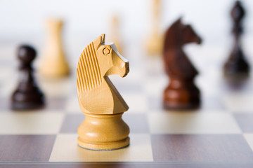 Springer © Henry Schmitt