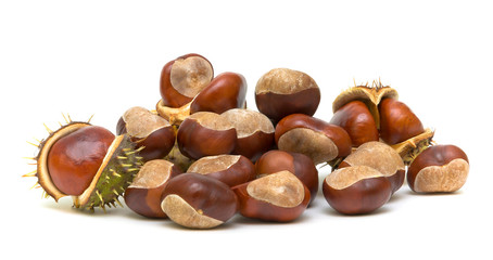 bunch of ripe chestnuts closeup