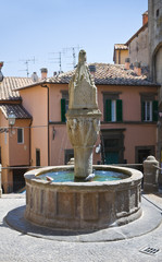 Monumental fountain. Soriano nel Cimino. Lazio. Italy.