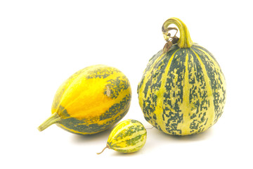 Small decorative pumpkins.
