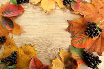 bright autumn leaves and wild berries, on wooden background