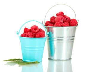 Fresh raspberries in buckets isolated on white