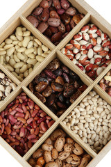 Diverse beans in wooden box sections isolated on white