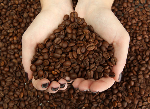 female hands with coffee beans, close up