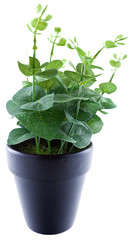 plante verte synthétique