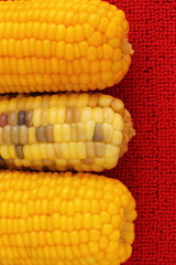 Sweet corn on  red background