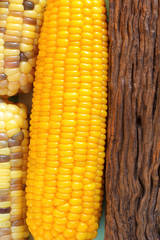 Sweetcorn and wood