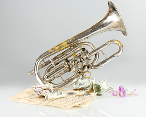 Obraz premium musical instrument with money on gray background