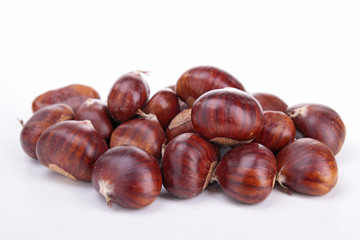 isolated chestnut