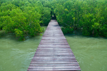 Wood bridge