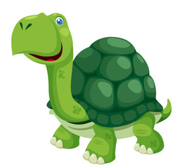 illustration of isolated turtle on white