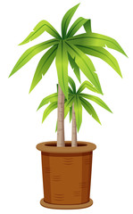 illustration of tree in tree pot.Vector