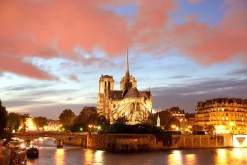 Notre Dame cathedral in the evening, Paris, France