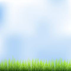 Obraz na płótnie Canvas Zielona trawa i błękitne niebo