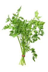 Parsley