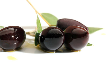 green olives on branch with leaves