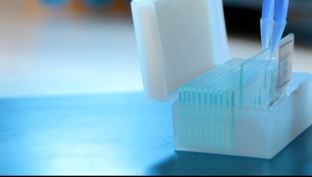 container with a glass slides