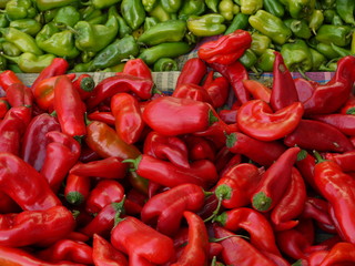 Roter und grüner Paprika