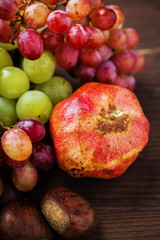 autumn fruits