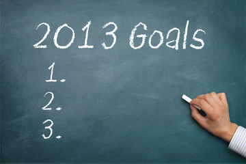2013 Goals