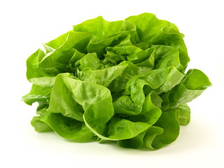 Lettuce, isolated