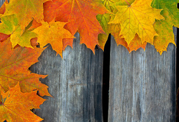 Naklejka na ściany i meble autumn leaves on rustic wooden surface