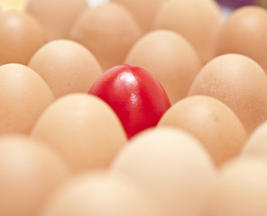 eggs