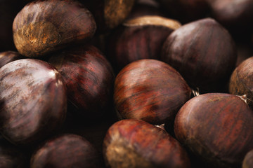 chestnut texture macro