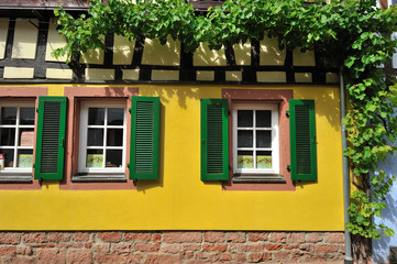 Fototapeta na wymiar Vines na Fachwerkhaus Rheinland Pfalz