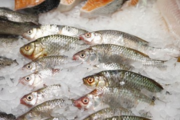 Some fish in ice in a supermarket