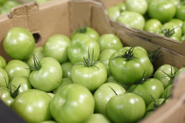 Pickle green tomatoes in a big supermerket