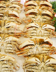 Crabs in Seafood Market