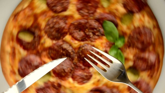 比萨 պիցցա পিজা піца 피자 pitza פיצה