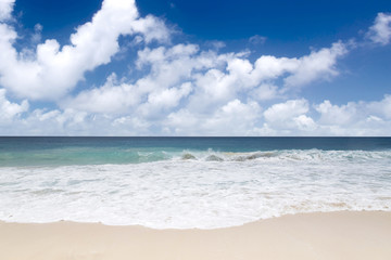 Fototapeta na wymiar Wyspa marzeń. Koral biały piasek i lazurowe indian ocean.
