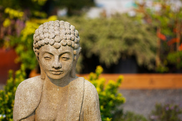 Shallow focus Buddha garden