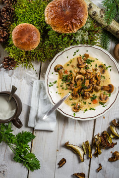 Fresh forest mushrooms and mushroom soup