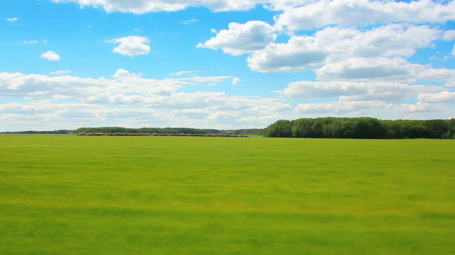 driving along green field at summer