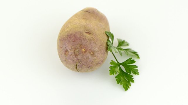 New potato tuber