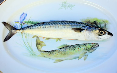 maquereau dans plat décor poisson