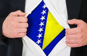 The Bosnia and Herzegovina flag