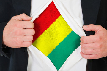 The Guinean flag