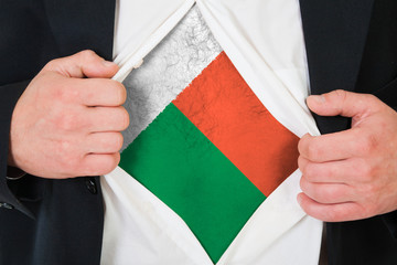 The Madagascar flag