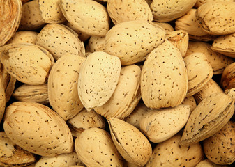 almond nut