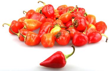 Red Pepper