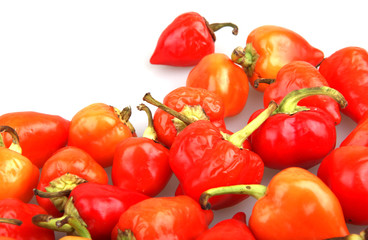 Red Pepper